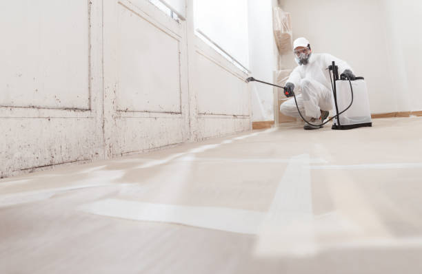Trusted Mold Inspection service in Broomall, PA - WQB Mold Removal