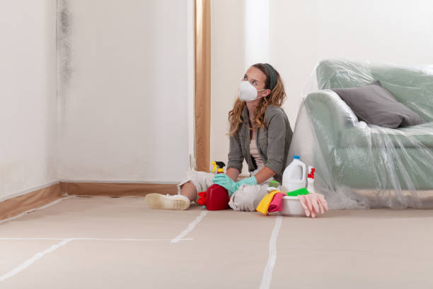 Reliable Mold Inspection contractor in Broomall, PA by WQB Mold Removal